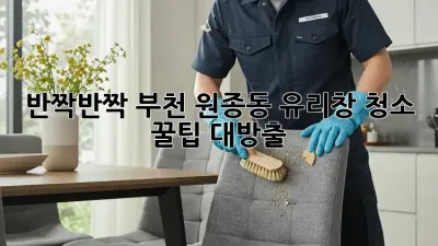 ✨ 반짝반짝! 부천 원종동 유리창 청소, ✨ 꿀팁 대방출!