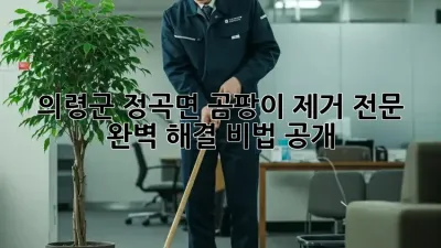 의령군 정곡면 곰팡이 제거 전문 💯 완벽 해결 비법 공개!
