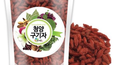 ✨ 놓치면 후회! 멋쟁이청양구기자 솔직 후기 & 꿀팁 대방출 🎁