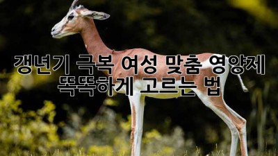 갱년기 극복💪 여성 맞춤 영양제 똑똑하게 고르는 법! 🔍
